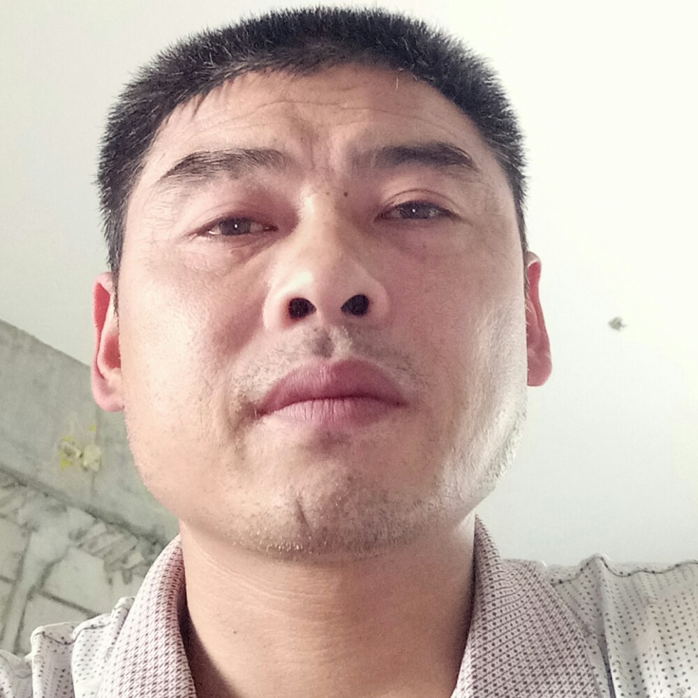 十里春风1的照片