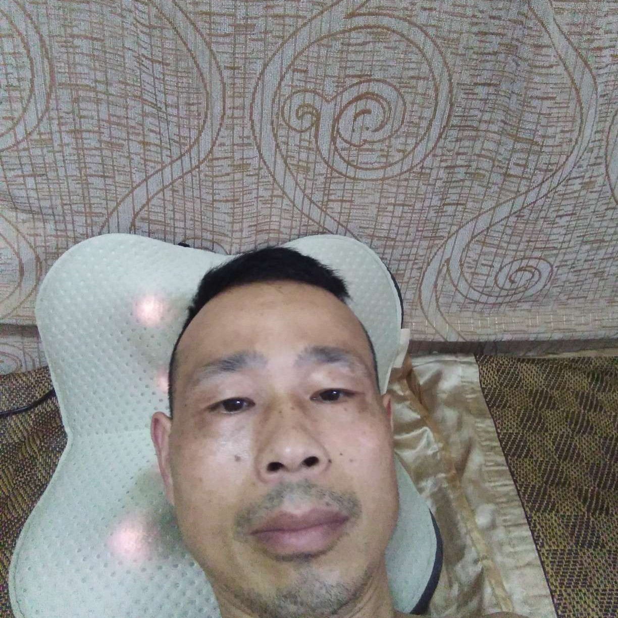 小蝴蝶拾忆美好的照片