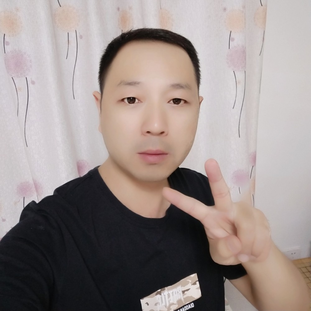 单身的大雁的照片