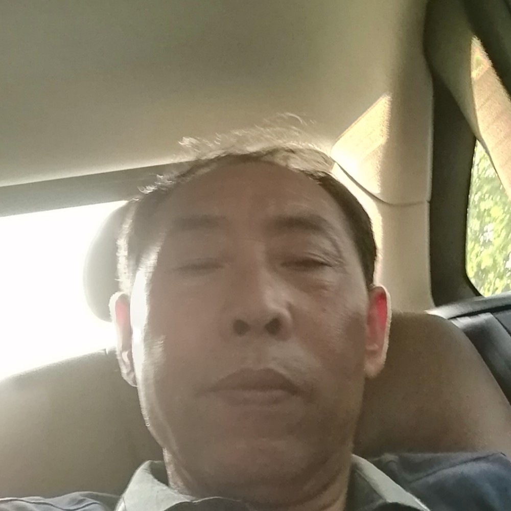 甜美浅吻白猫的照片