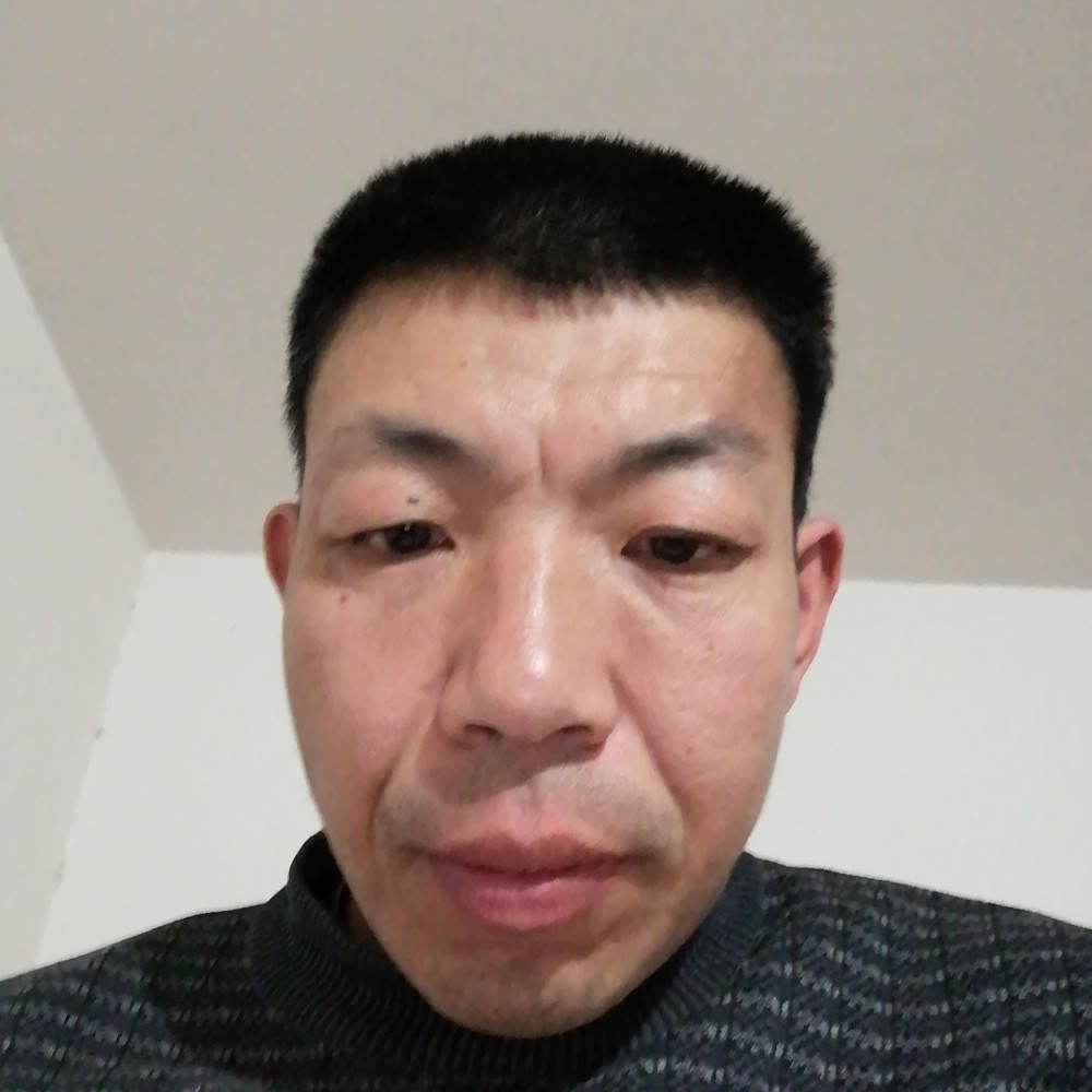 恋家的好男人的照片