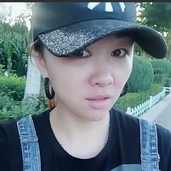 固执的猫的照片