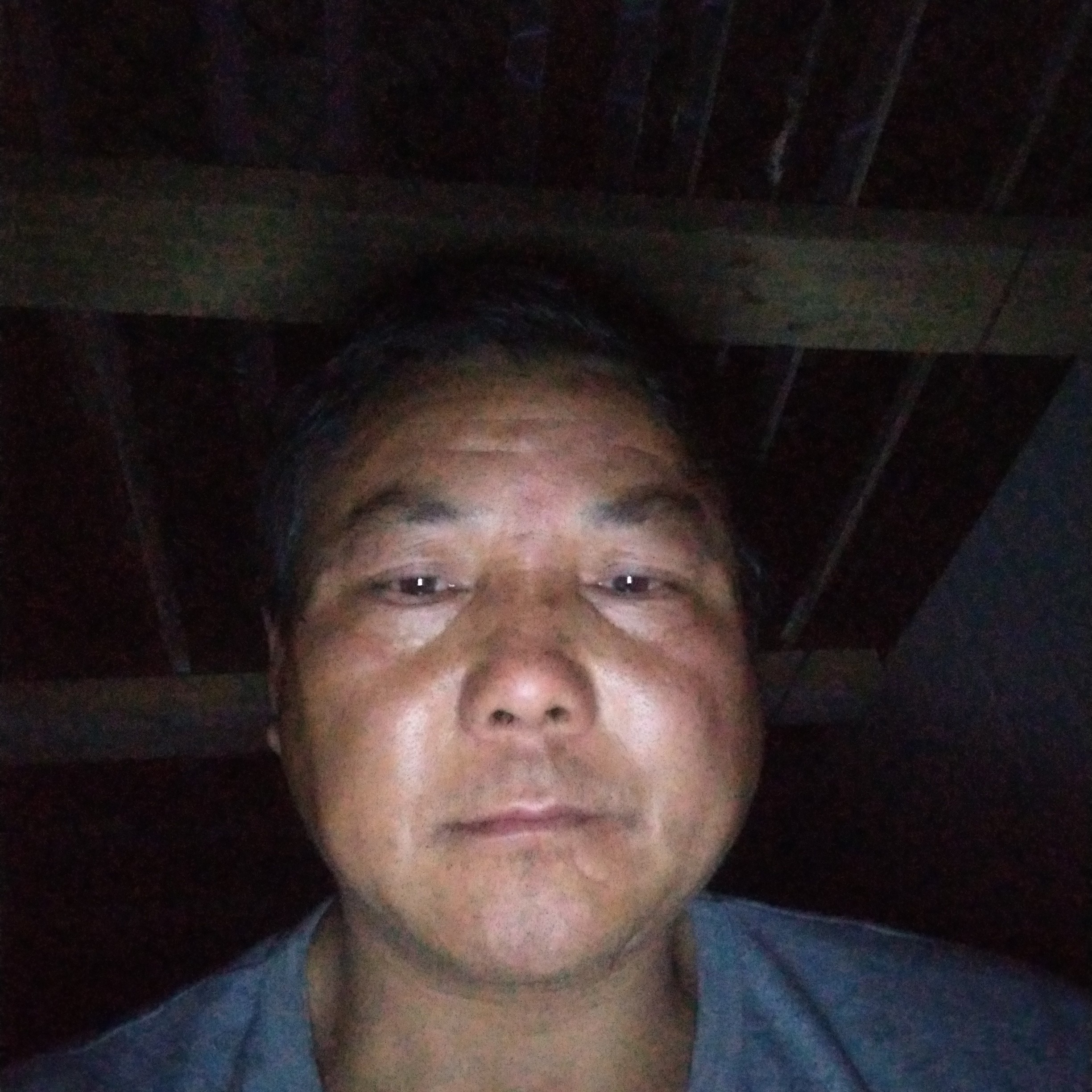 野性与睫毛的照片