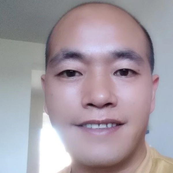 旧时光向向日葵的照片