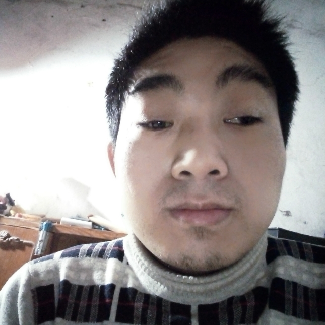 汽车从容的照片