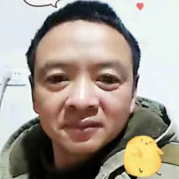 迷路乌龟的照片