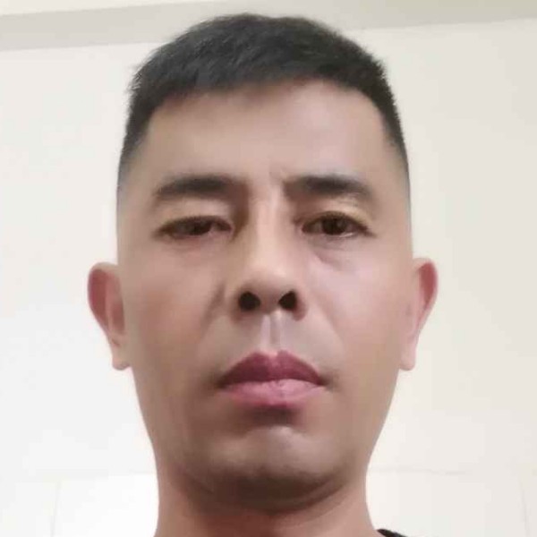 长情倾心野狼的照片