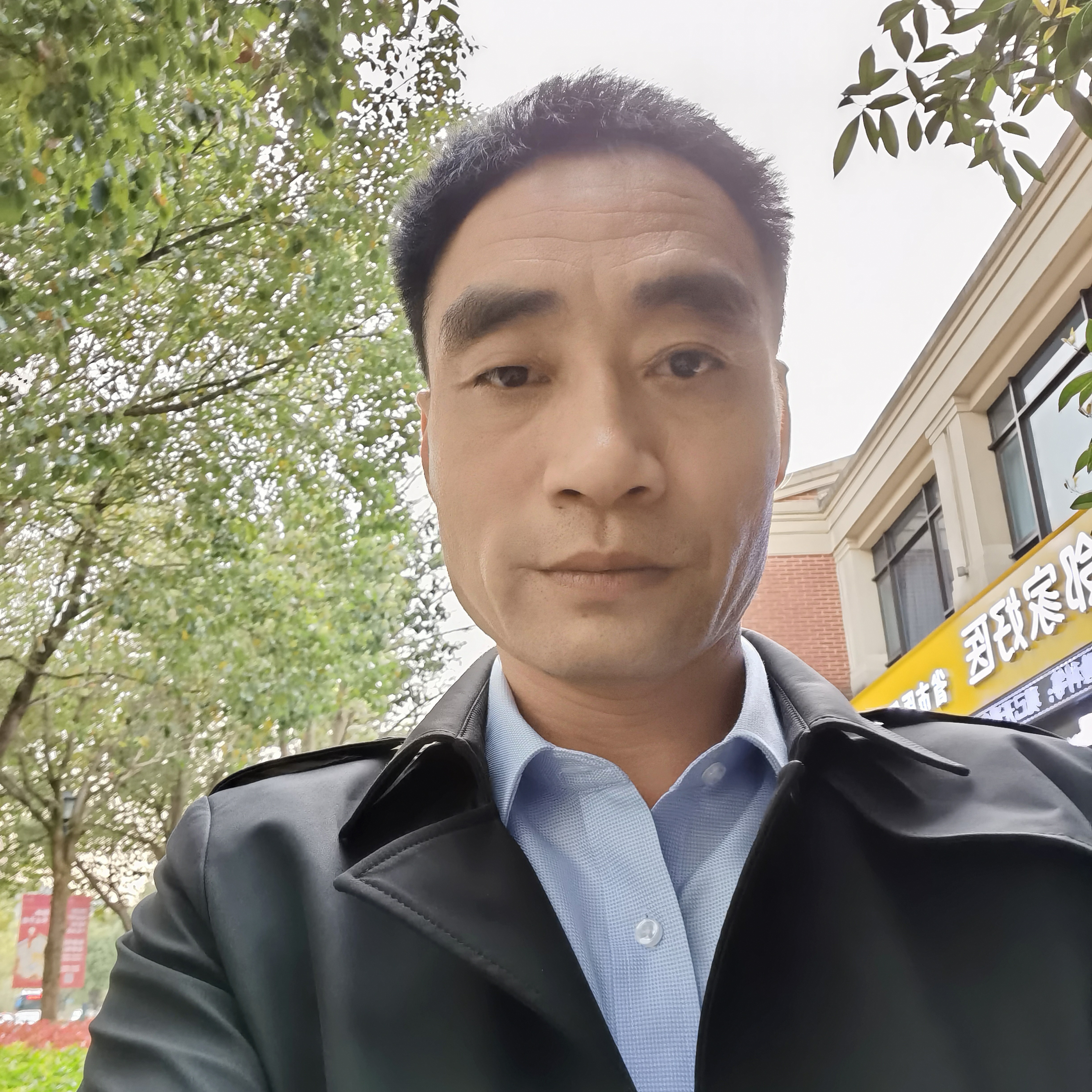 黯然的胡萝卜的照片