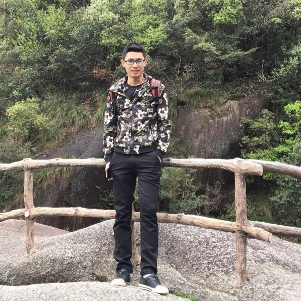 小蘑菇自然的照片