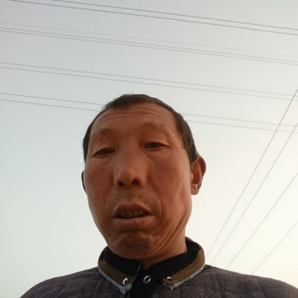 自然大碗的照片