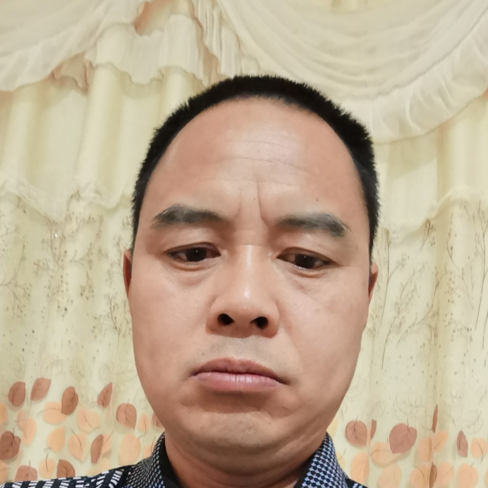 魁梧鸭子的照片