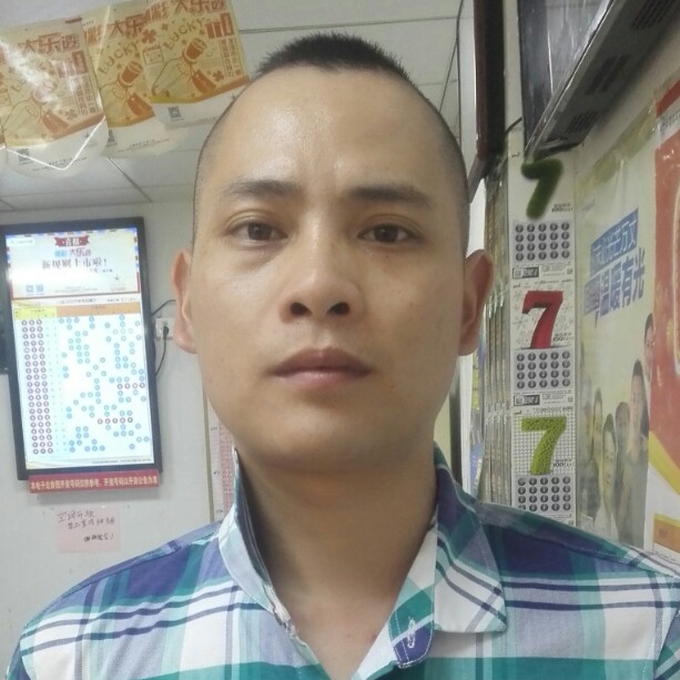 乌鹊的照片