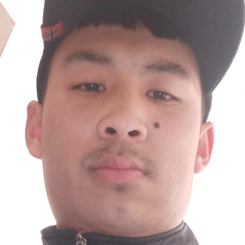 骑白猪的王子的照片