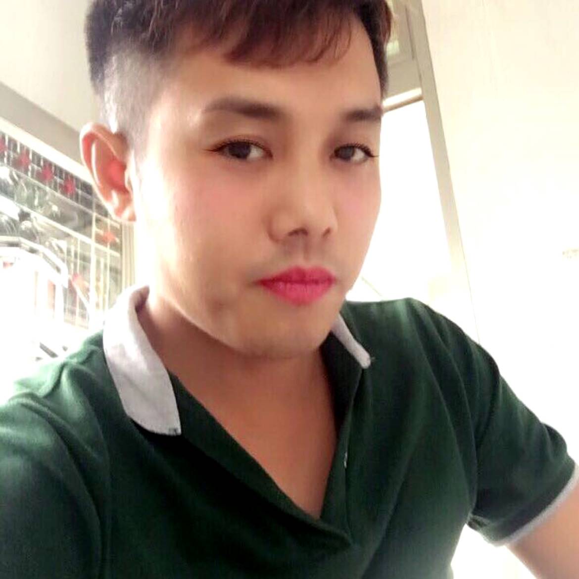含蓄深拥含羞草的照片