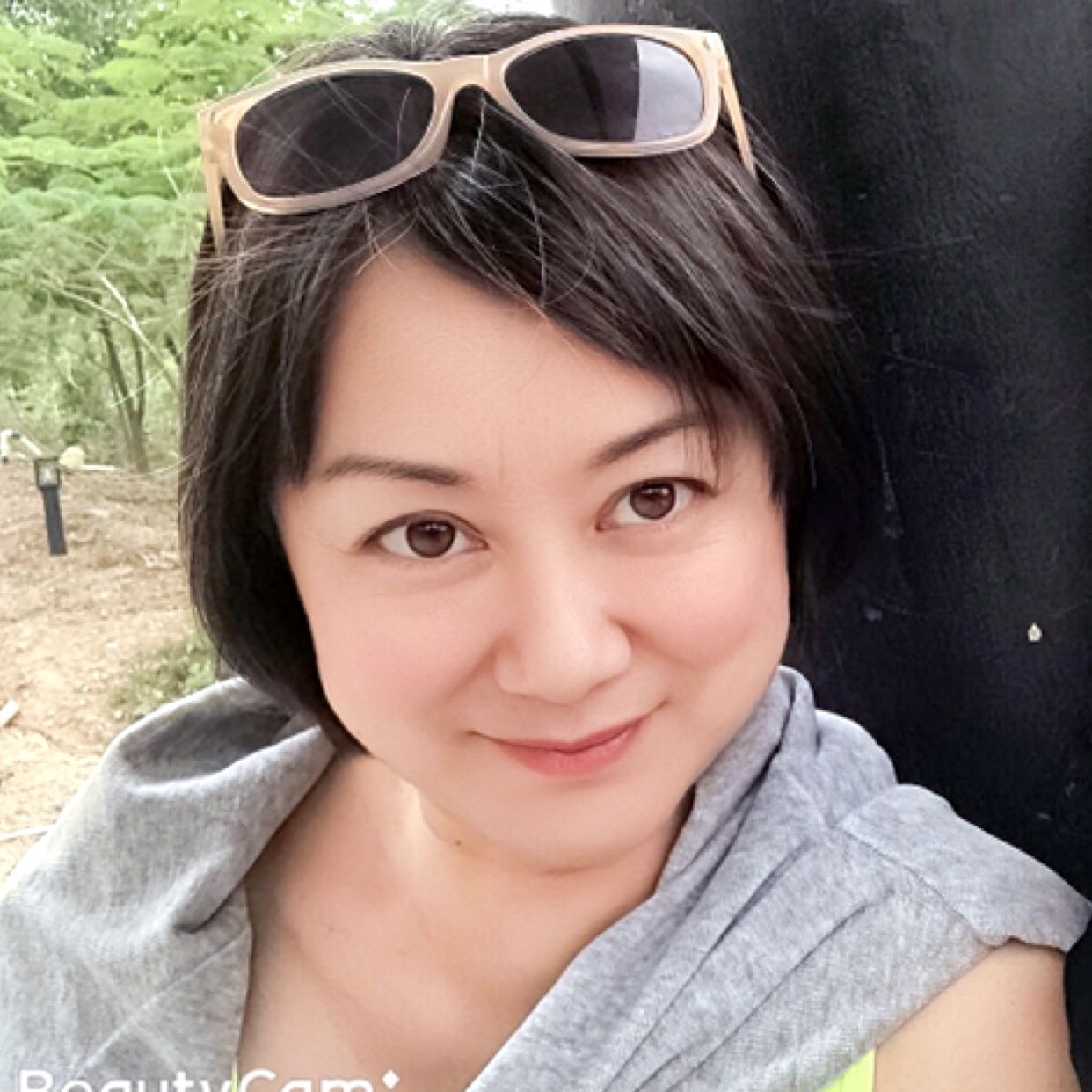 康乃馨的热情的照片