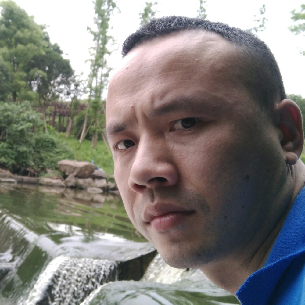 踏实漫步蜗牛的照片