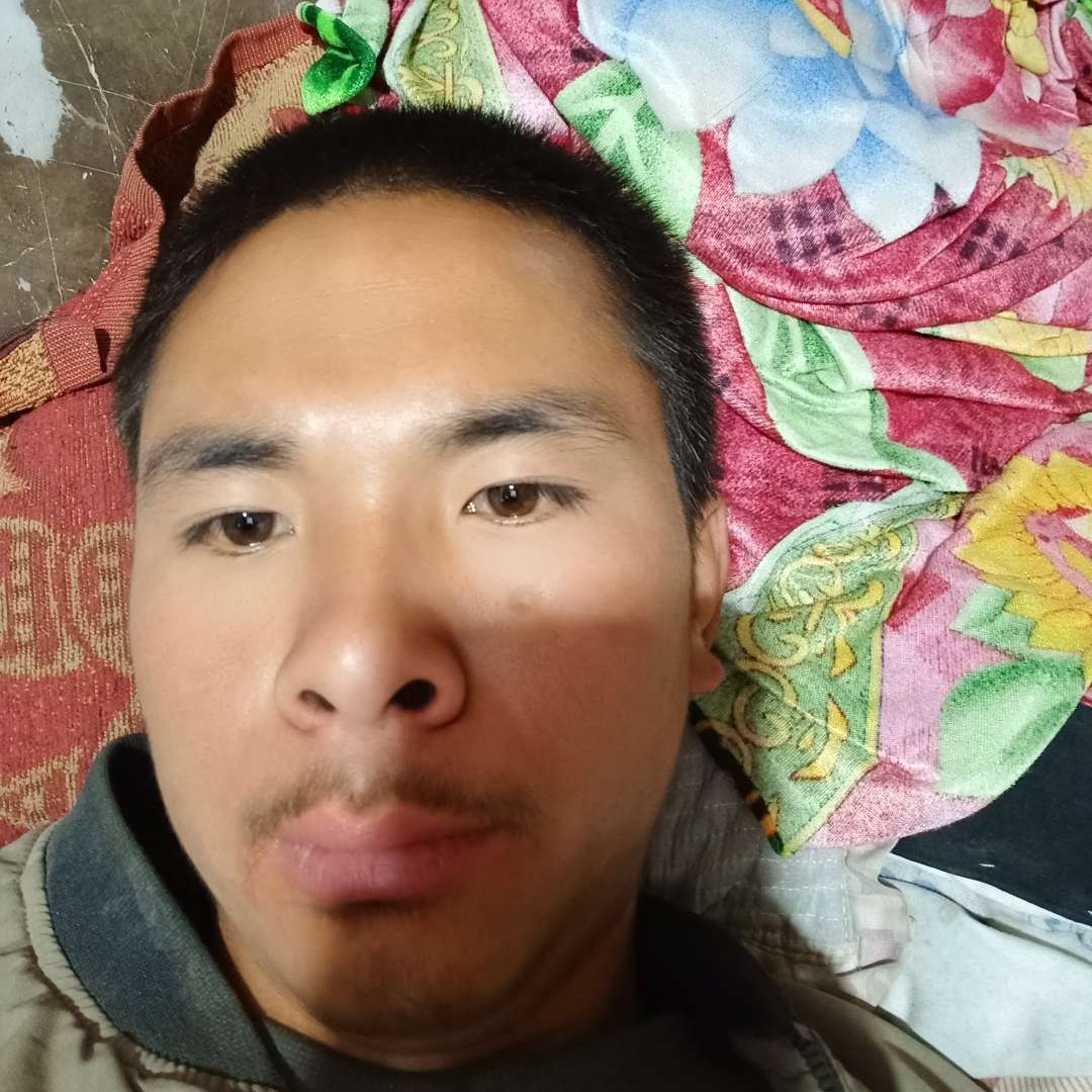 钢笔倾心隐形的照片