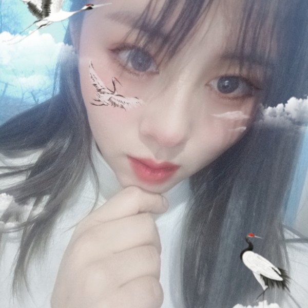谨慎与南鸢的照片