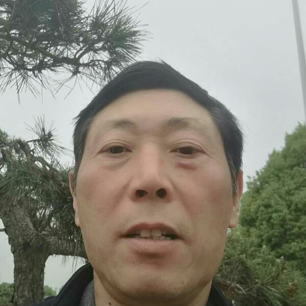 黄蜂就等待的照片