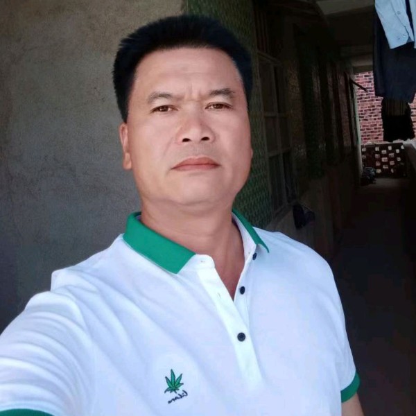 幸福牛的照片