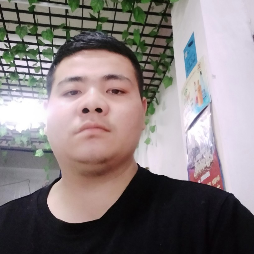 猎豹那活力的照片