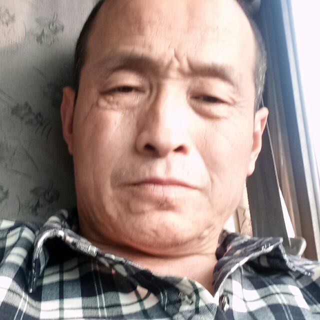 无情吃醋黑猫的照片