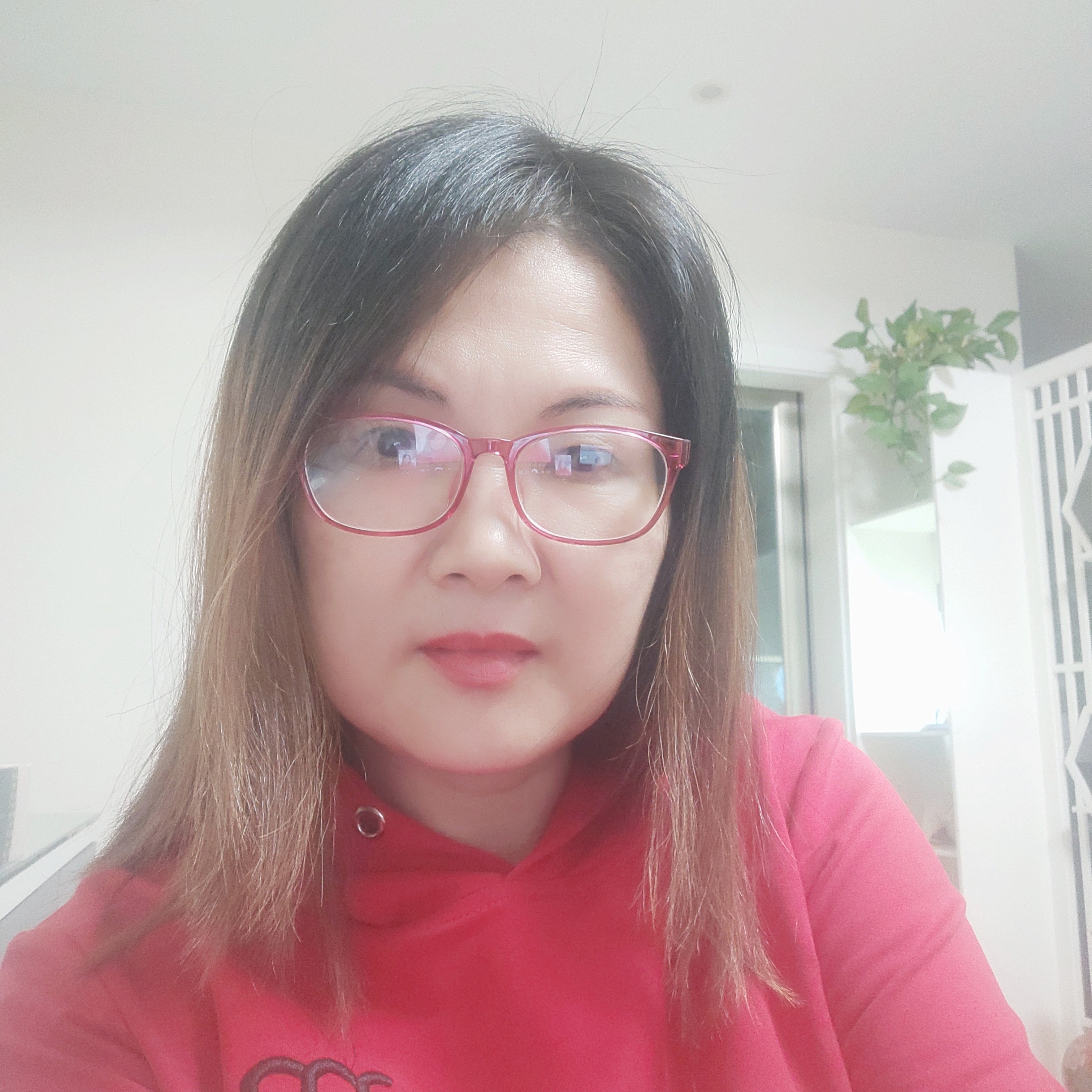 生姜的照片