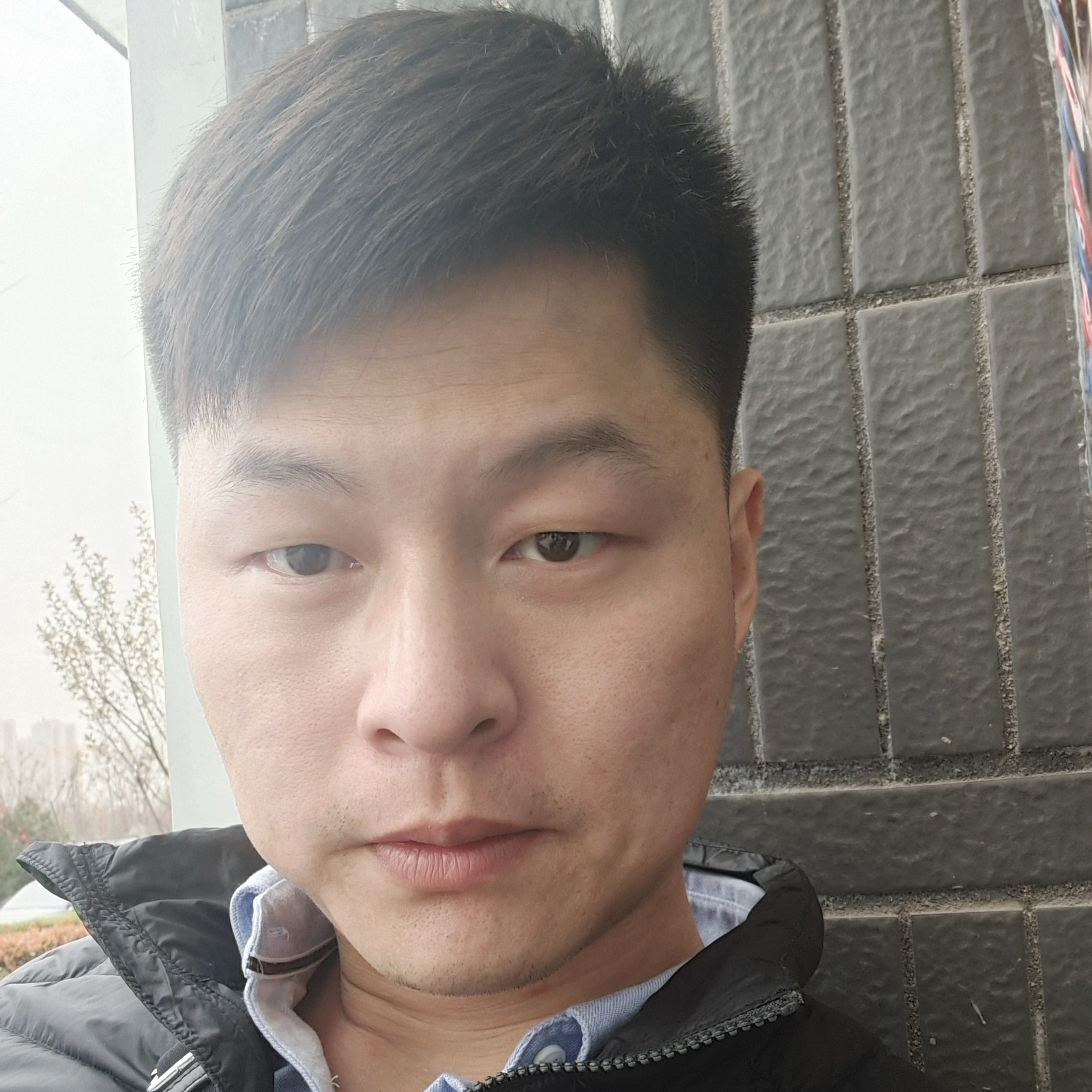此去经年日的照片
