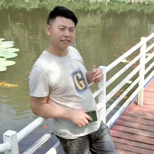 奇异果寂寞的照片