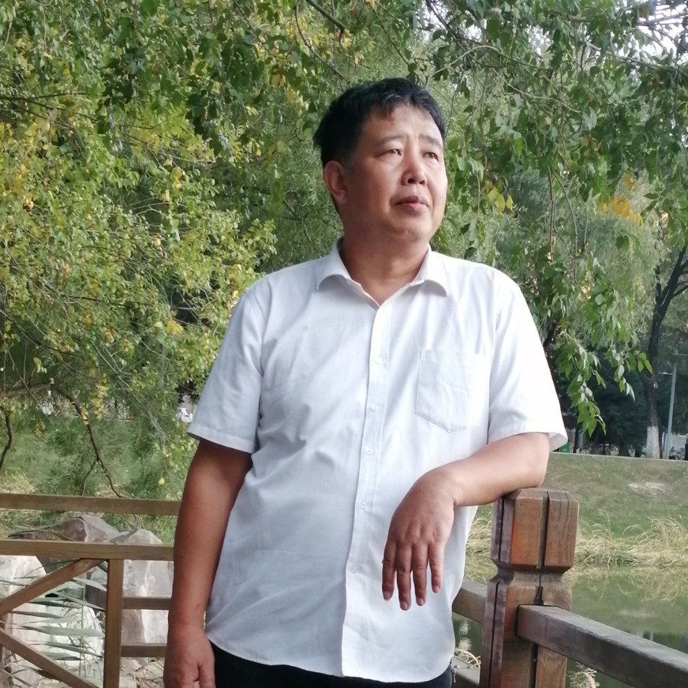 减肥智猪的照片