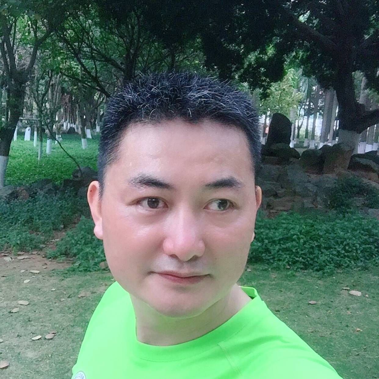 狮子的照片