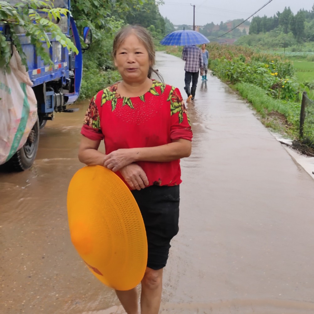 闲兔子的照片