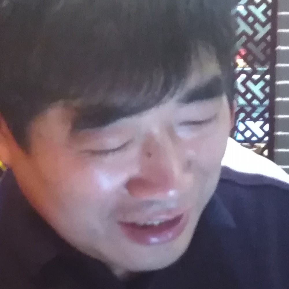 梦之鹰的照片