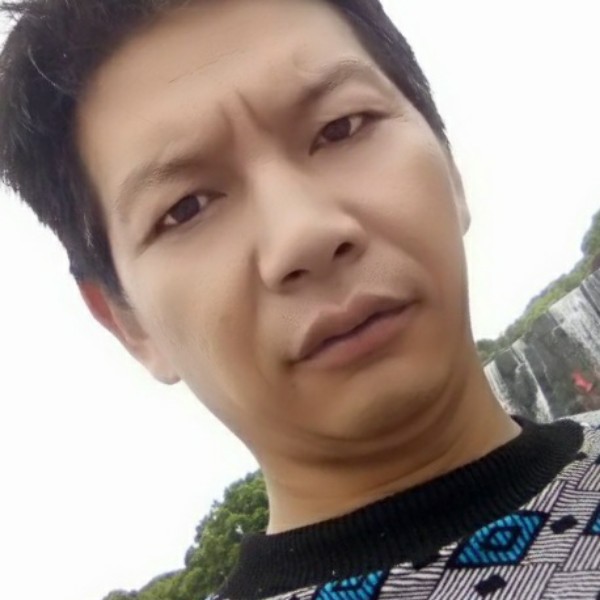 小海豚邂逅简单的照片