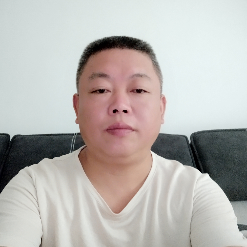 生肖猪的照片