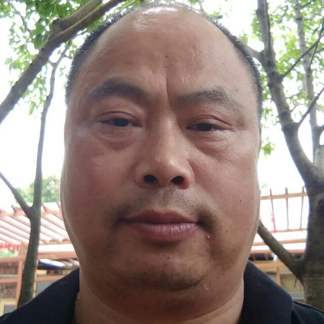 又见桃花的照片