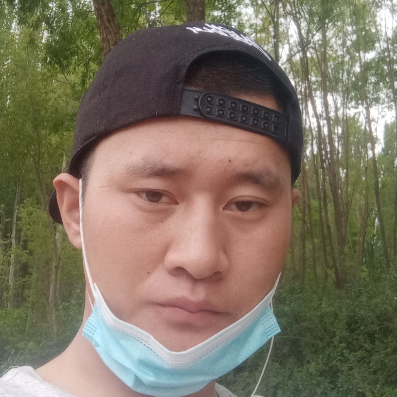 震动多么惊鸿啊的照片