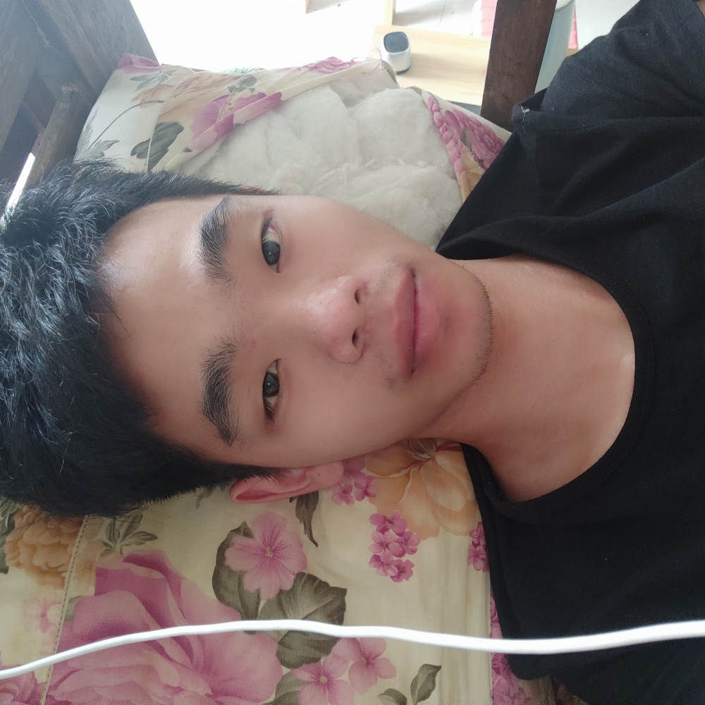 笑点低放弃狗的照片