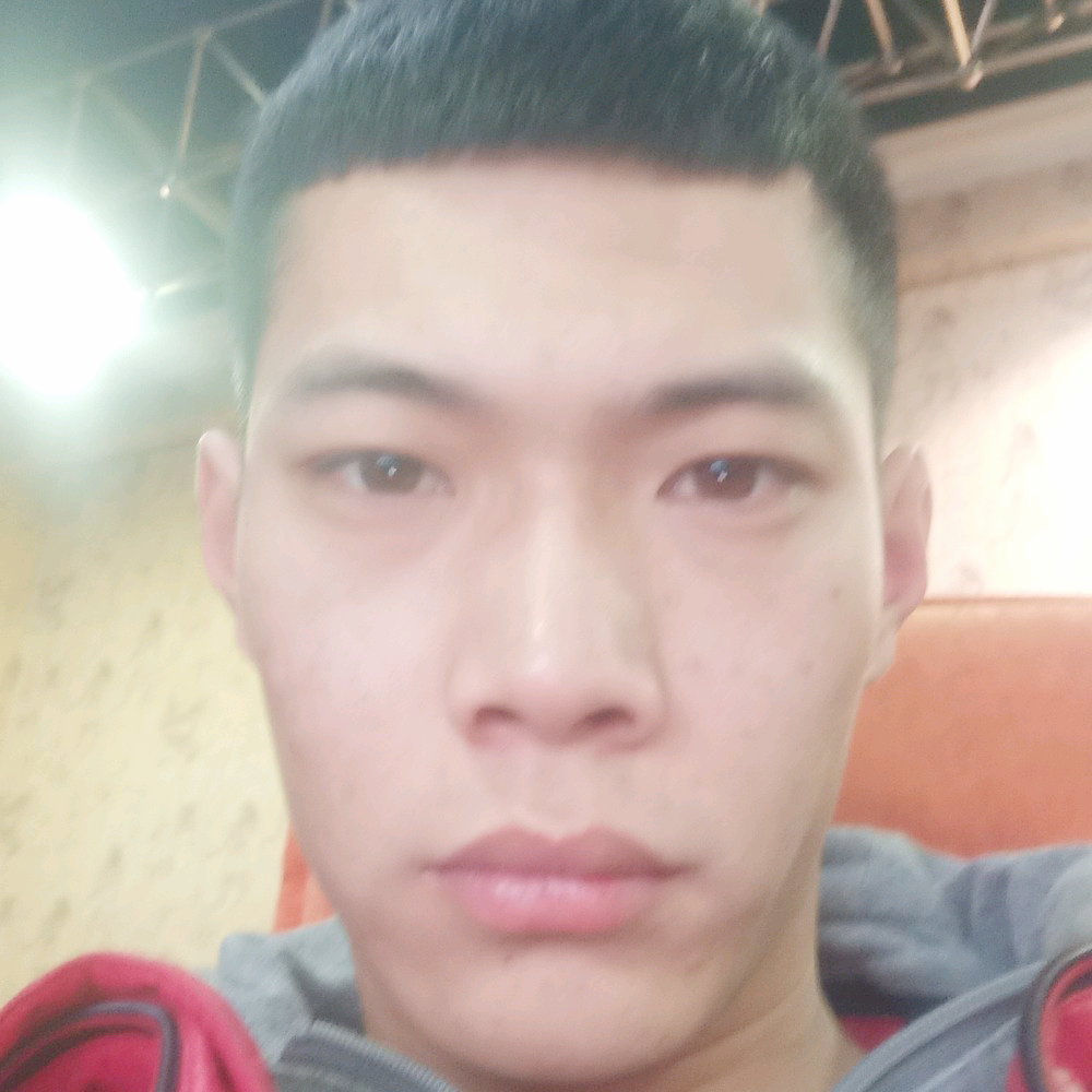 胡萝卜热心额的照片