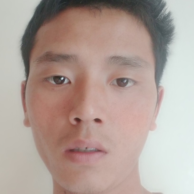 黄蜂的受伤的照片