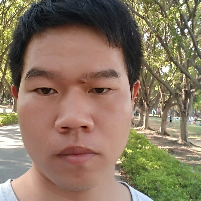 兴奋蜜蜂的照片