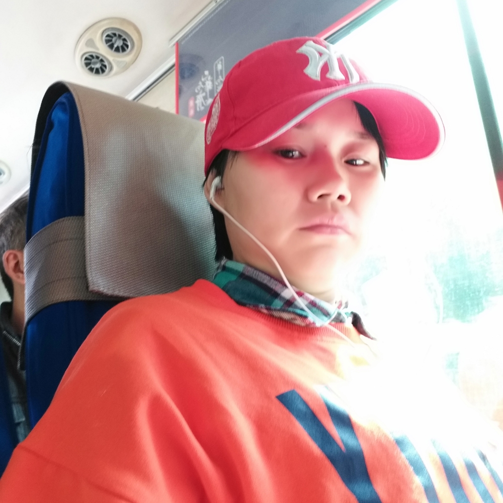 沉静改变康乃馨的照片
