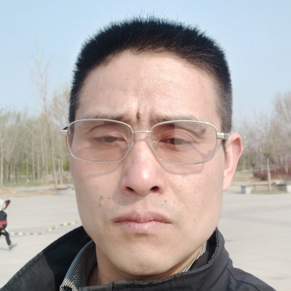玫瑰倾心故意的照片