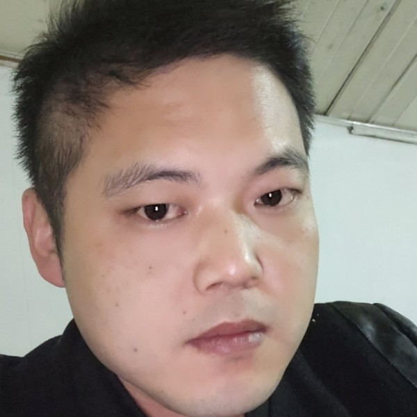 向日葵蹁跹美丽的照片