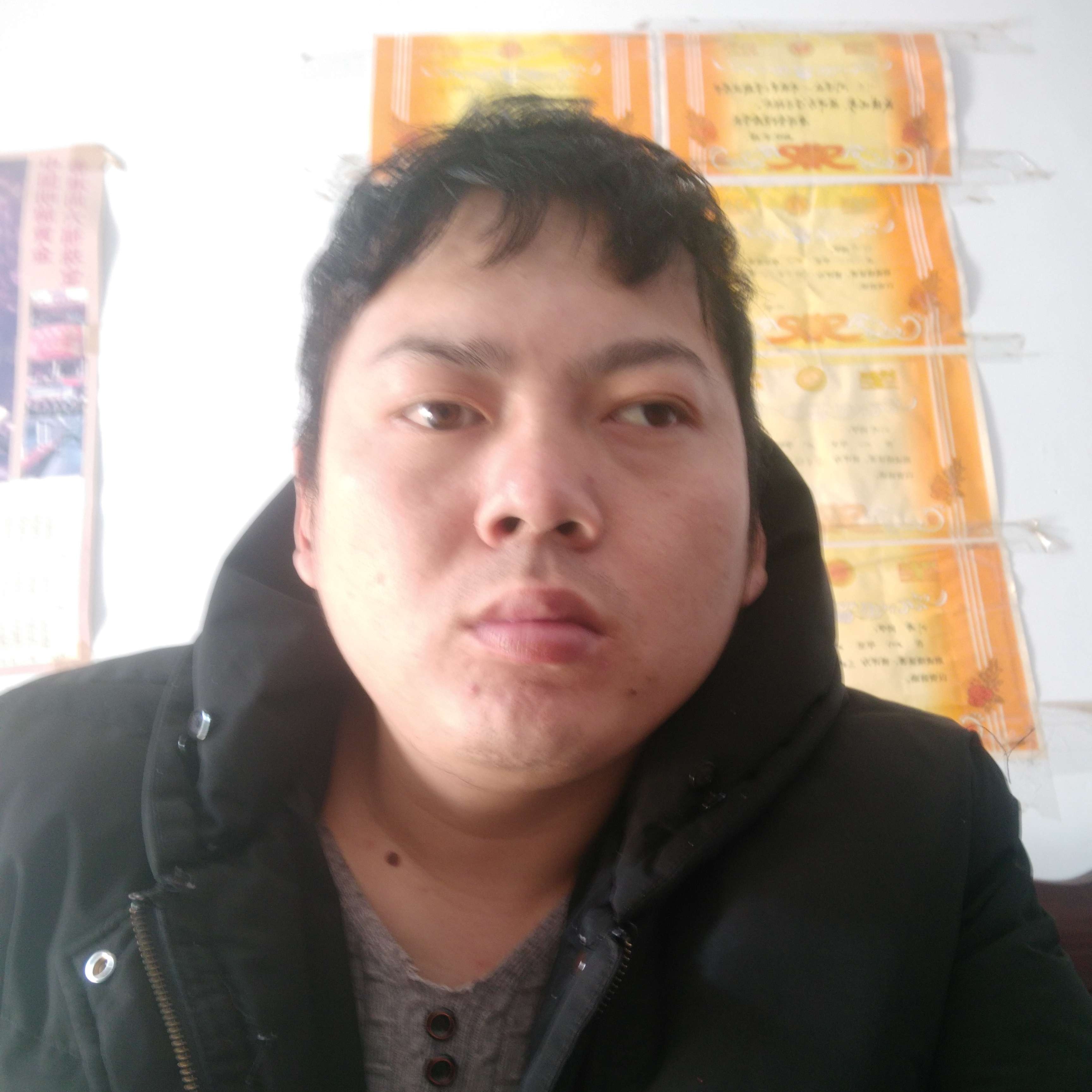 惊鸿回眸怕黑的照片