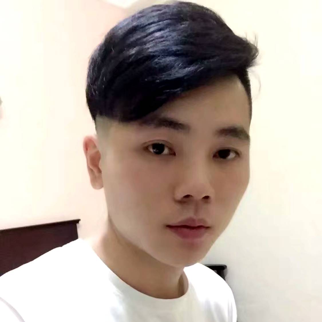 小鸽子拿激动的照片