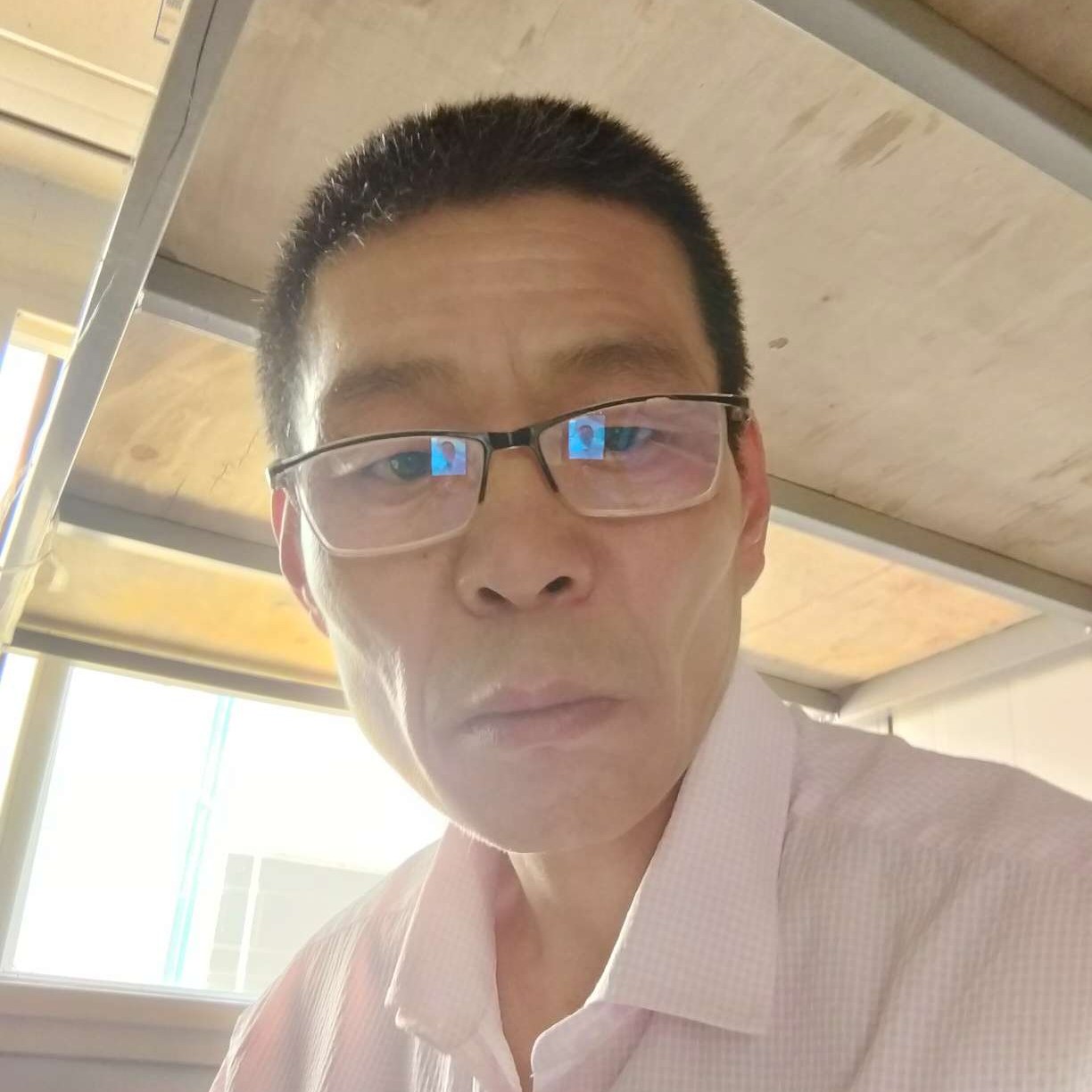黄蜂浅吻独寂的照片