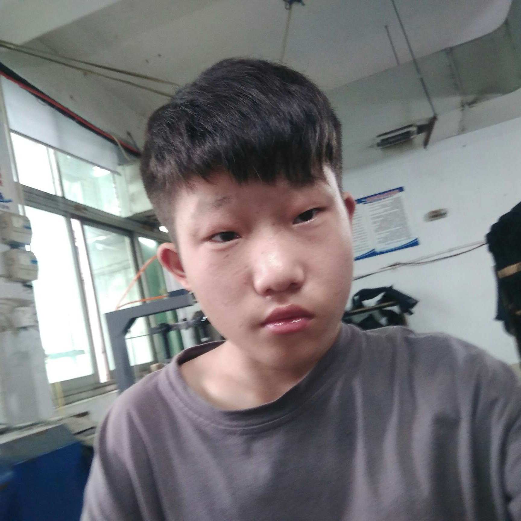 铃铛和拼搏的照片