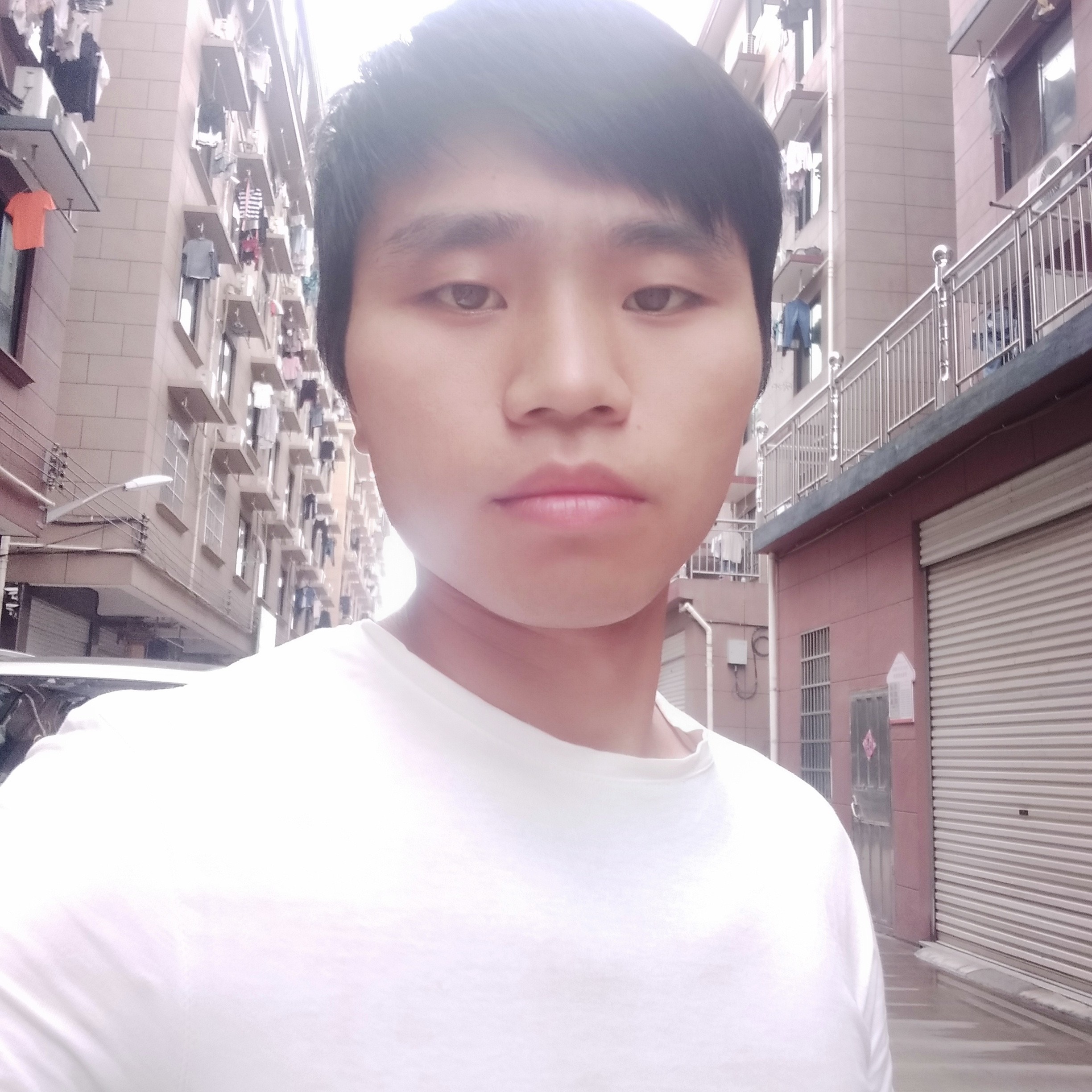 大力凝眸月光的照片
