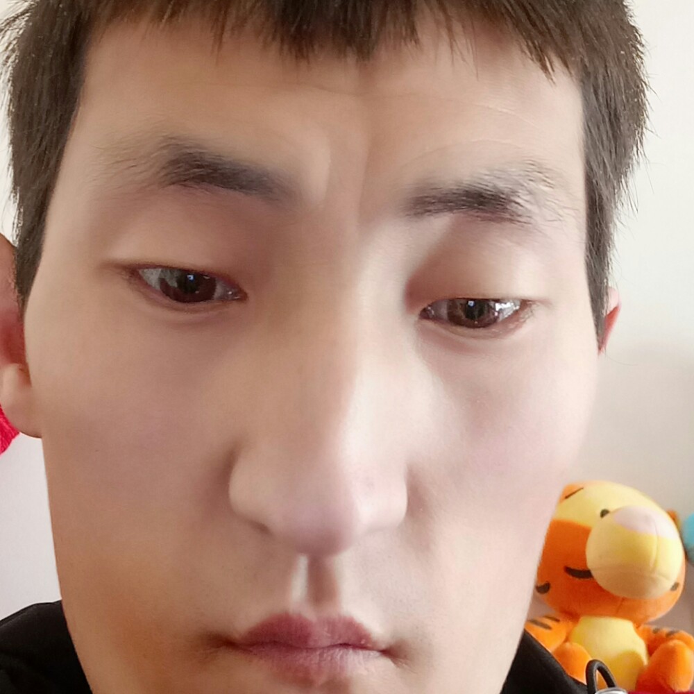 豆芽漫步痴情的照片